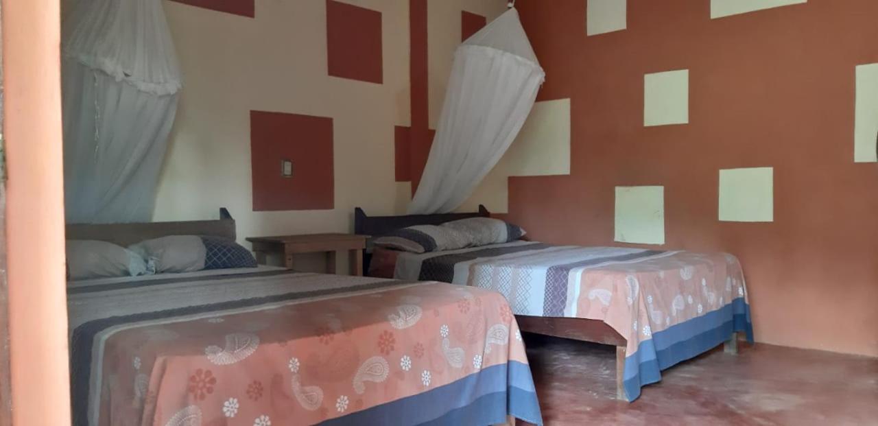 Centro Ecoturistico Ya'Ajche Hotel Lacanjá Kültér fotó