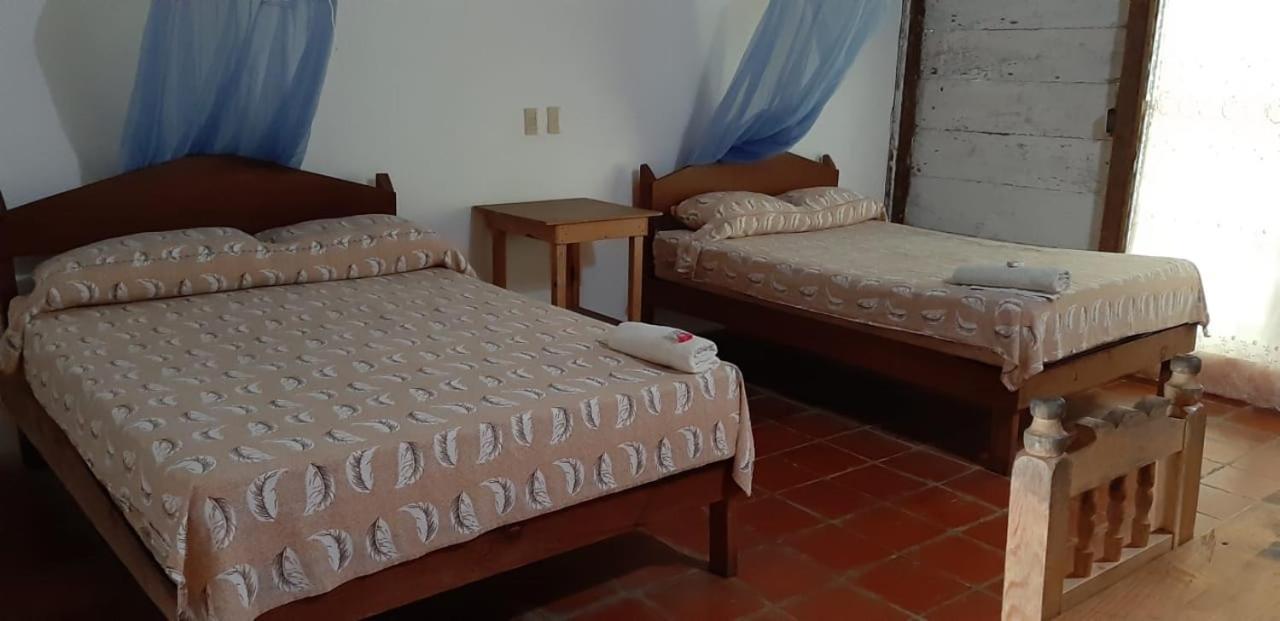 Centro Ecoturistico Ya'Ajche Hotel Lacanjá Kültér fotó