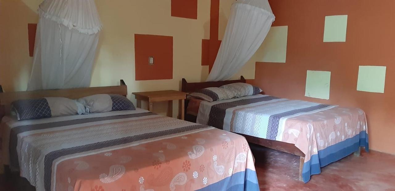 Centro Ecoturistico Ya'Ajche Hotel Lacanjá Kültér fotó